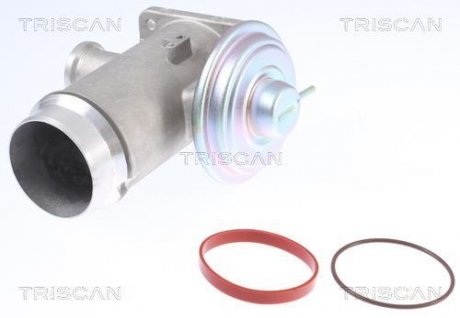 Клапан рециркуляции отработавших газов TRISCAN 8813 11102 (фото 1)