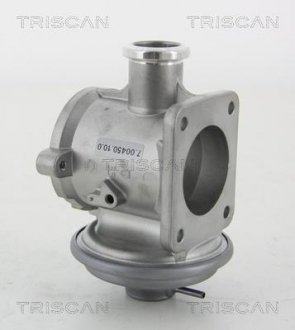 Клапан рециркуляции отработавших газов TRISCAN 8813 11105 (фото 1)