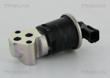 Клапан рециркуляции отработавших газов TRISCAN 8813 21008
