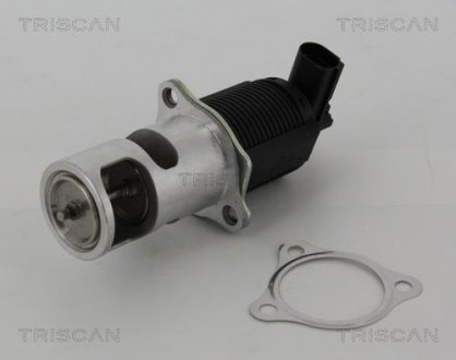 Клапан рецеркуляції відпрацьованих газів TRISCAN 8813 25005 (фото 1)
