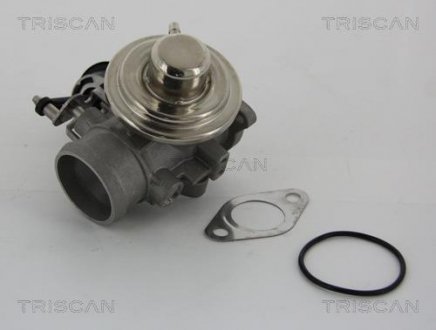 Клапан рециркуляции отработавших газов TRISCAN 8813 29001 (фото 1)