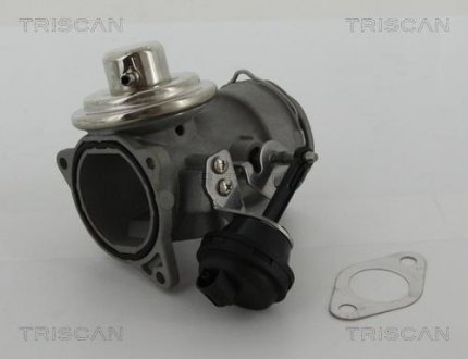 Клапан рецеркуляції відпрацьованих газів TRISCAN 8813 29036