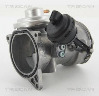 Клапан рециркуляции отработавших газов TRISCAN 8813 29070 (фото 1)