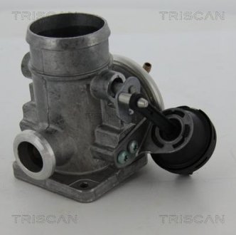 Клапан рециркуляции отработавших газов TRISCAN 8813 29300 (фото 1)