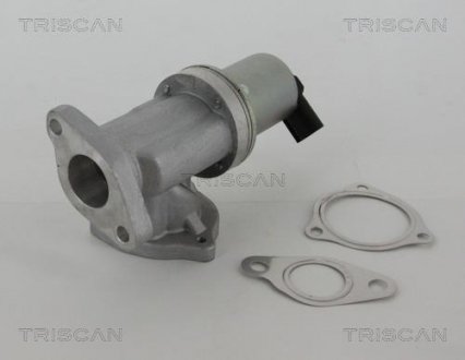 Клапан рецеркуляції відпрацьованих газів TRISCAN 8813 43002