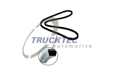 Ремень насоса гу, 2.5td 97-00 TRUCKTEC AUTOMOTIVE 01.19.184