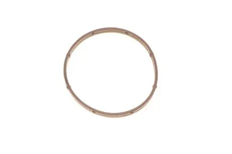 Прокладка дроссельной TRUCKTEC AUTOMOTIVE 02.14.174