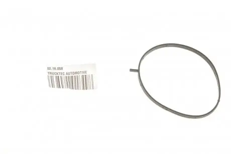 Прокладка турбины TRUCKTEC AUTOMOTIVE 02.16.058