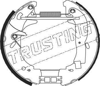 Тормозные колодки (дисков торм.) TRUSTING 534.0 (фото 1)