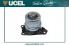 Подушка двигателя (R) VW T5 2.0-2.5TDI 03- UCEL 61303 (фото 2)