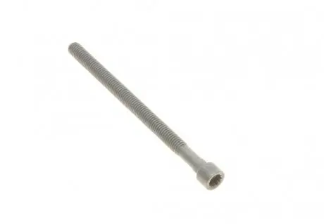 Болт крепления форсунки, 2.0tdi 05- VAG 03G 103 385 A