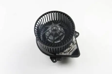 Моторчик отопителя Berlingo/Partner 02- (+AC) Valeo 698045